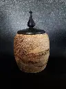 20241028_081336.webp