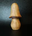 Champignon CH003