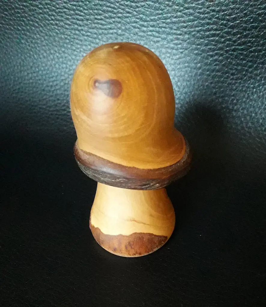 Champignon CH002