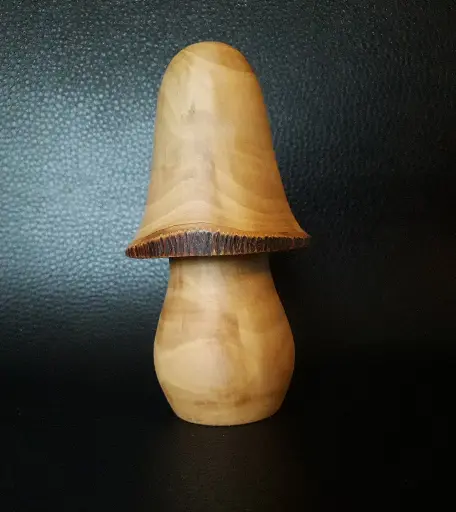 [CH003] Champignon CH003